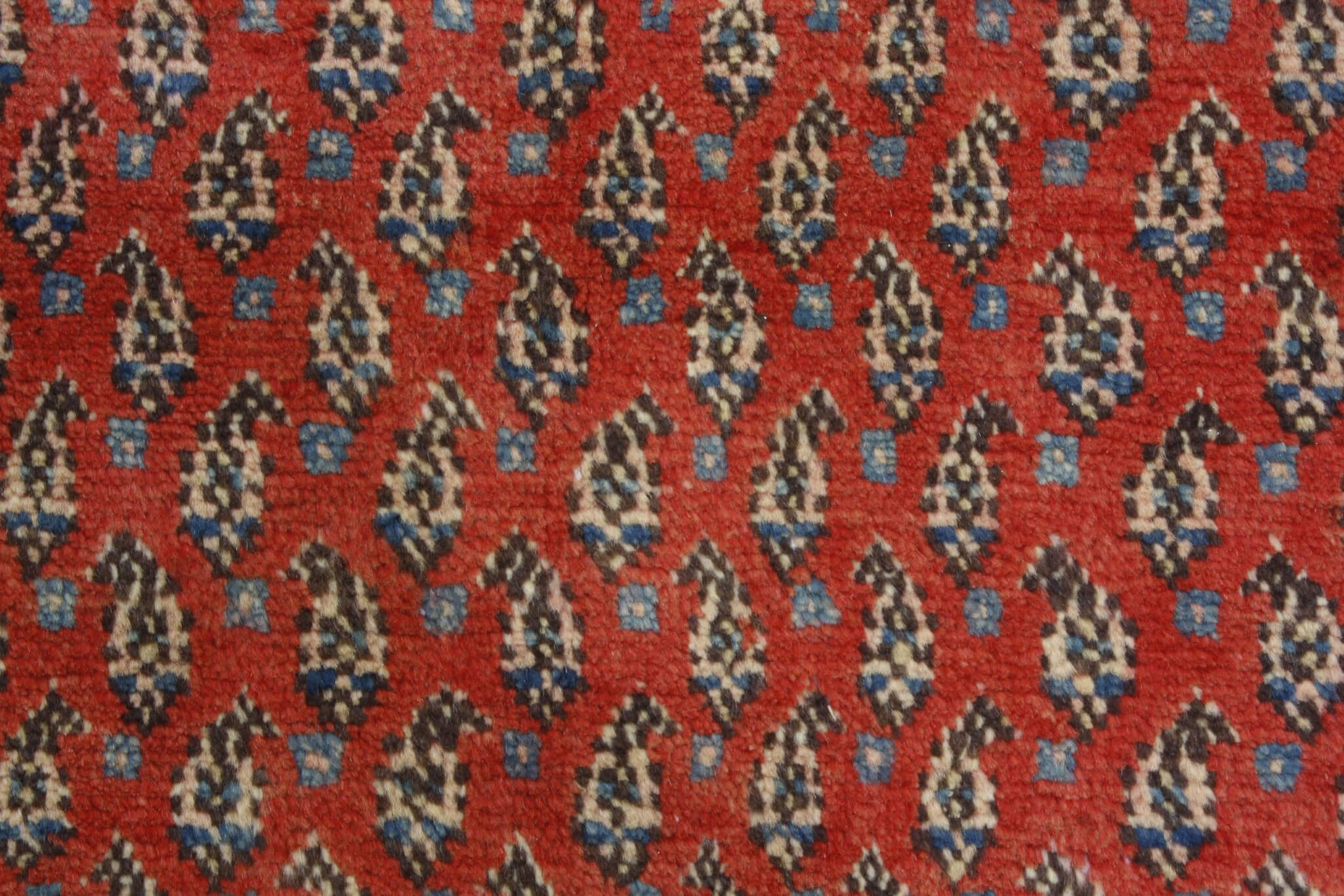 Persian rug Sarough Mir