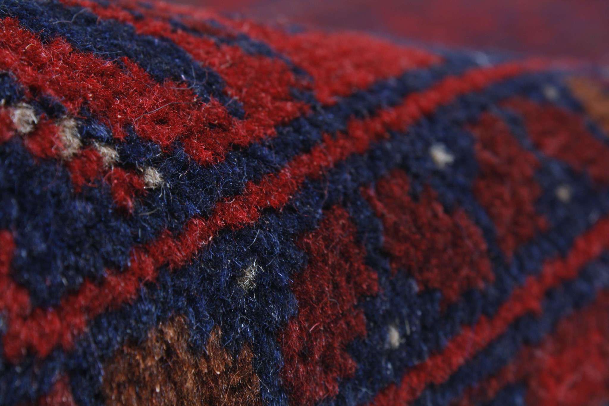 Oriental rug Mauri