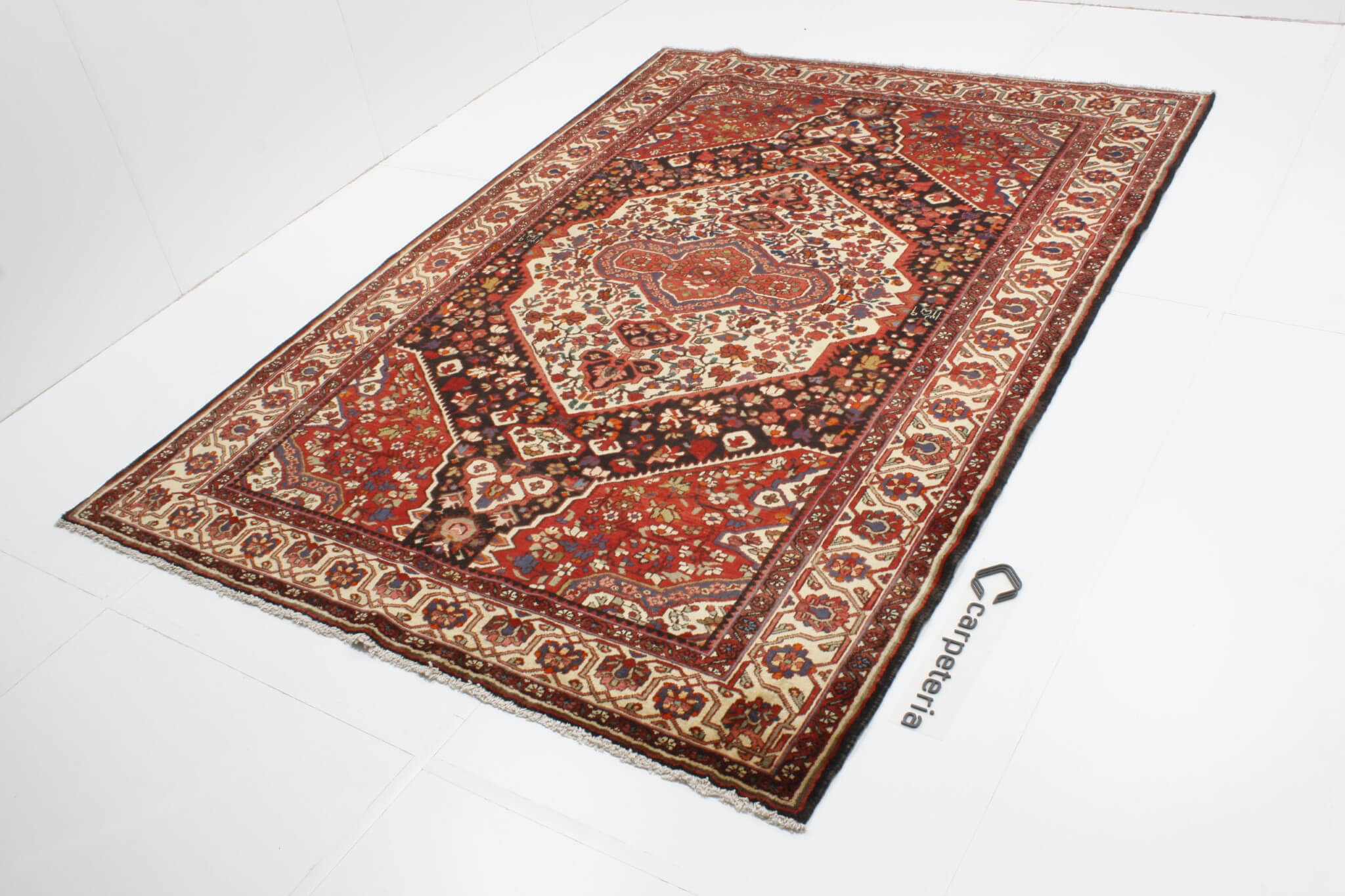 Persian rug Bakhtiar