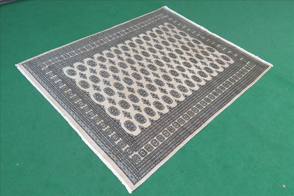 Oriental rug Bukhara Exclusive