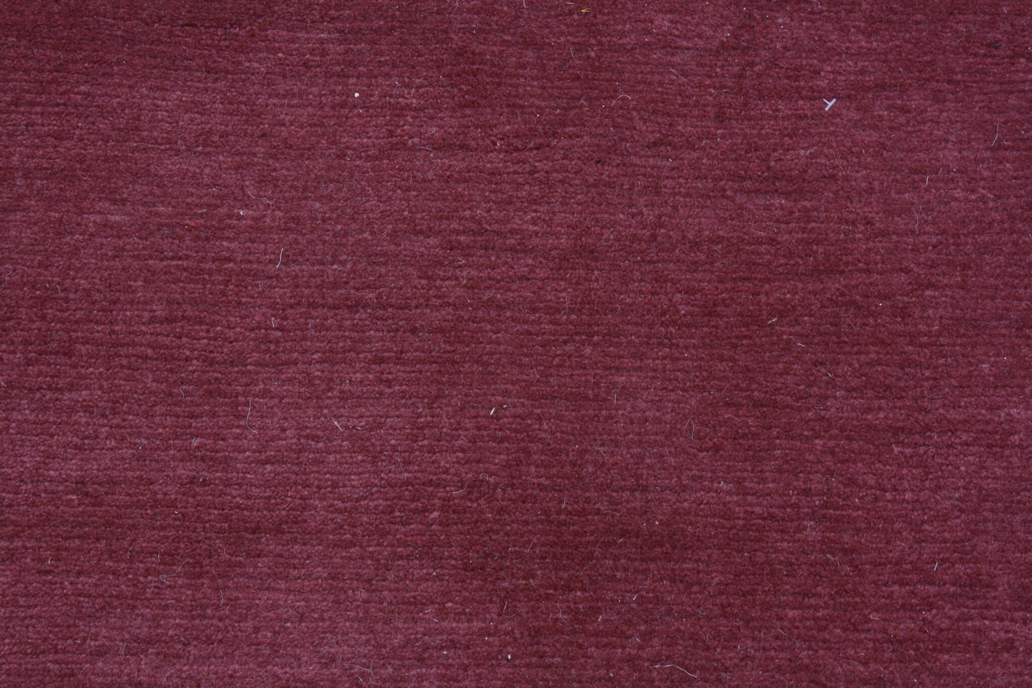 Modern rug Nepal Original Exclusive