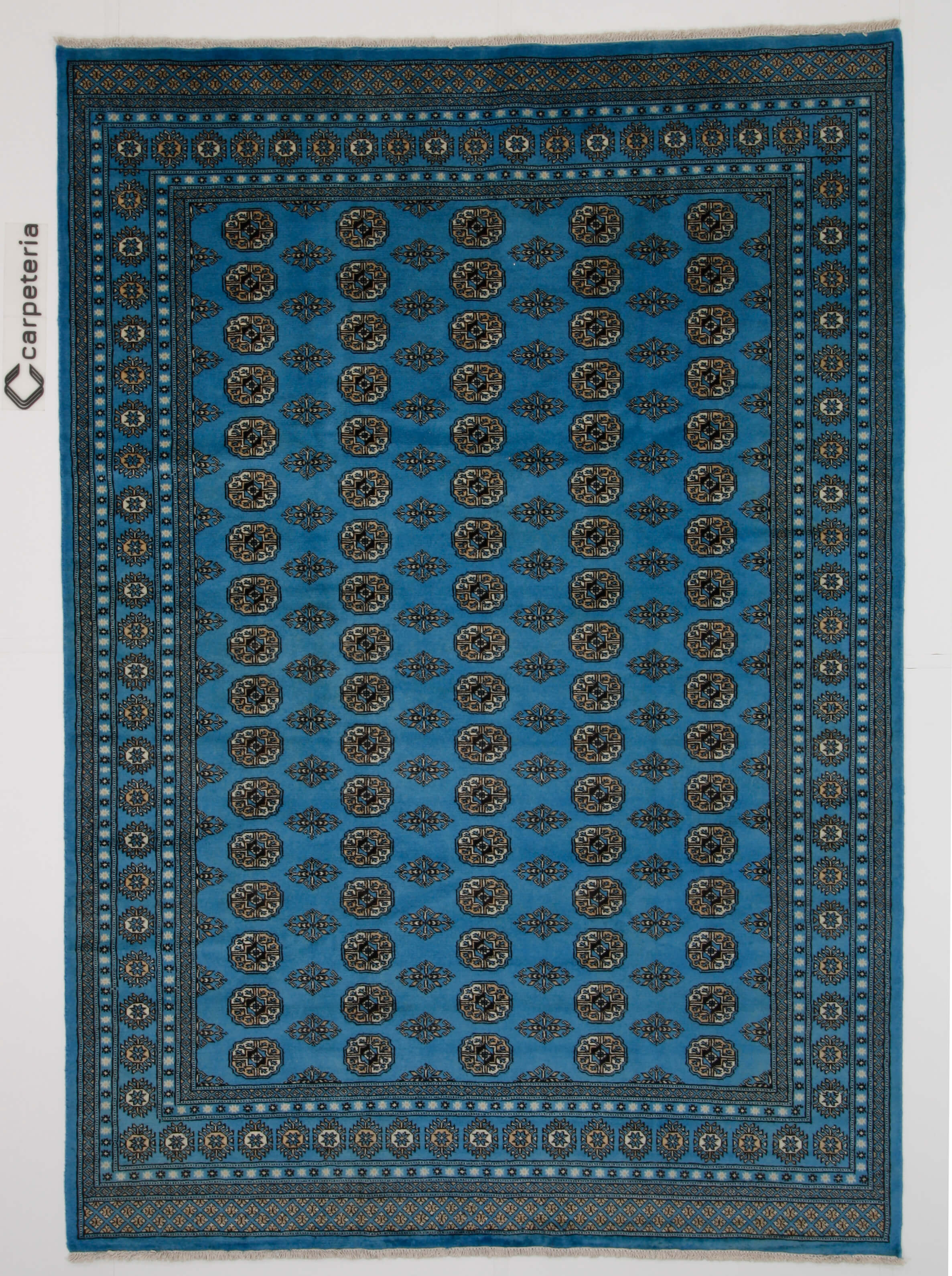 Oriental rug Bukhara Exclusive