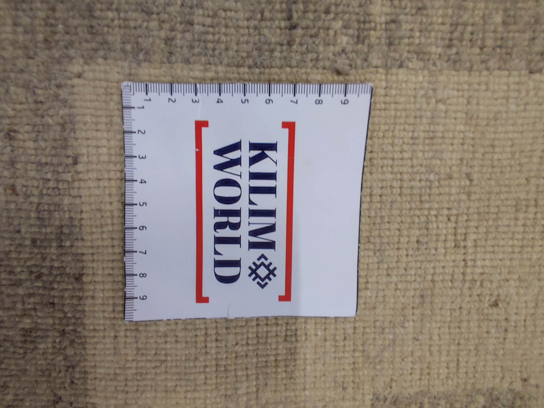 Modern rug Loribaft Exclusive