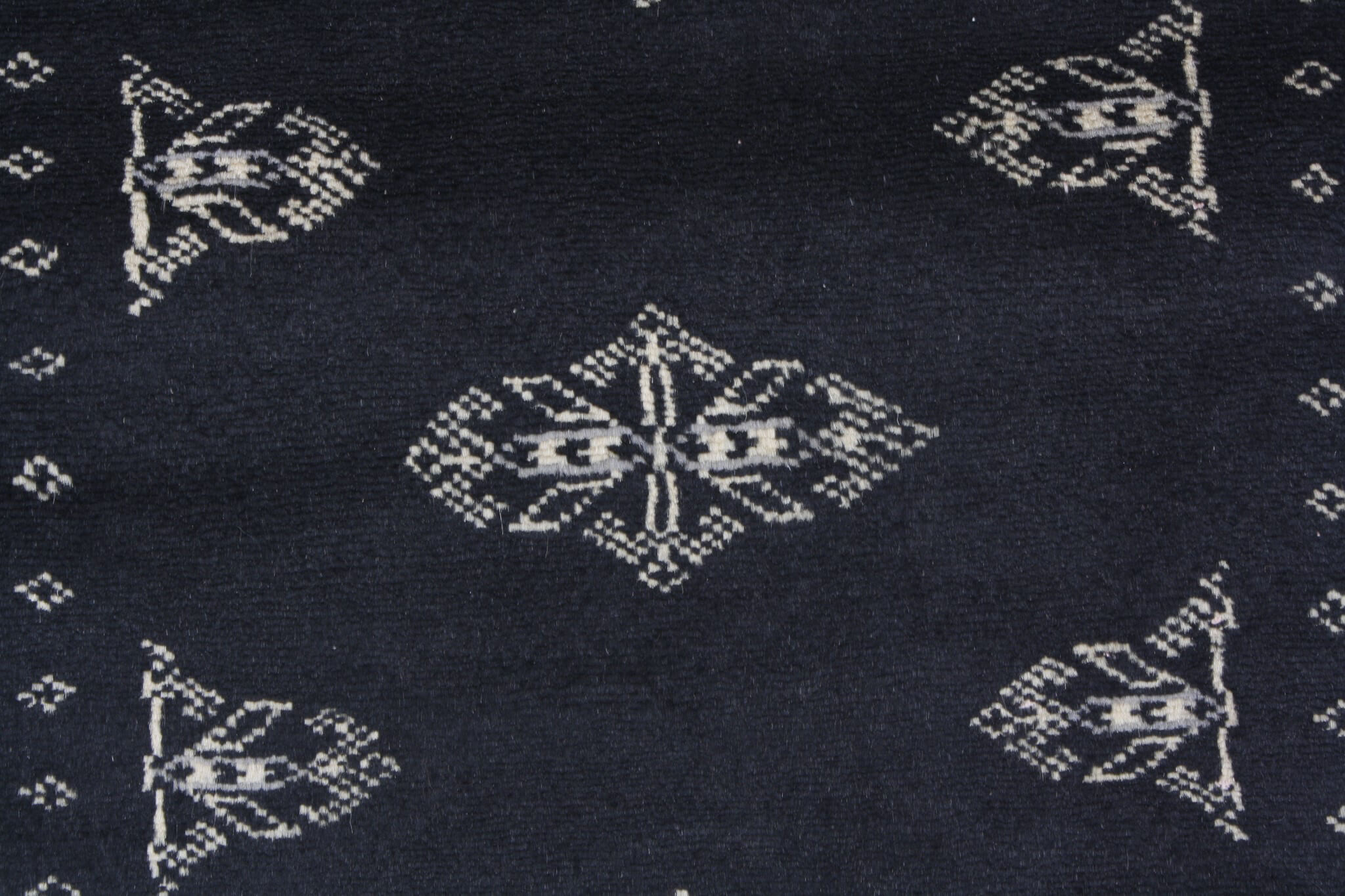 Oriental rug Bukhara Exclusive